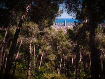 Barcelona Street Photography coastline, dense forest trees glade, mountain woods, park Guinardo, torre agbar