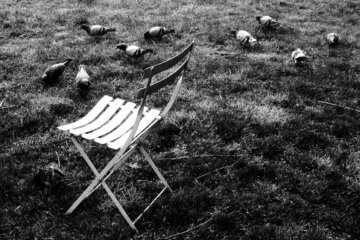 Pidgeon Seat, Olympus Tough Grainy Film Street Photography