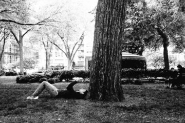 Tree Friend , Olympus Tough Grainy Film Street Photography
